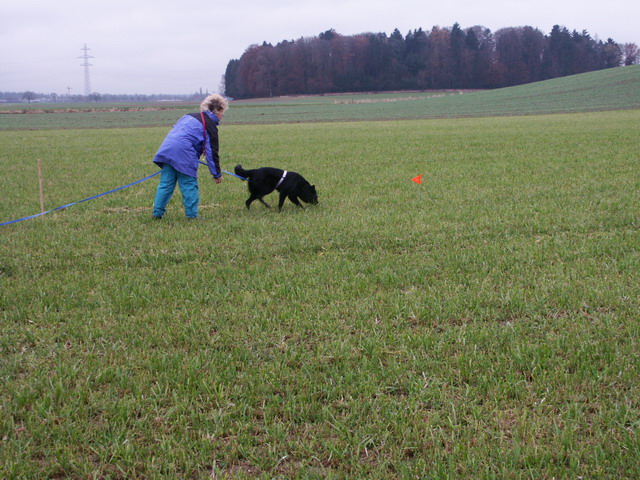 Parcour 05