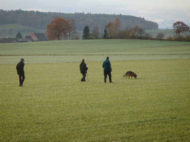 Pic03