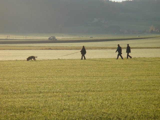Pic04