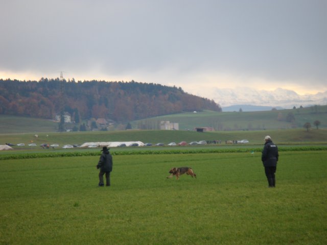 Pic15