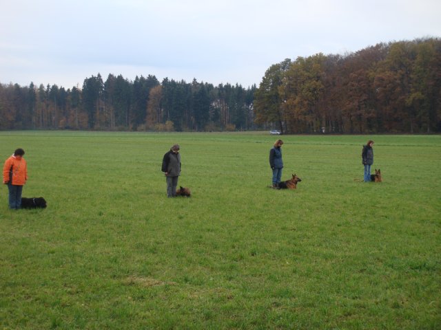 Pic16