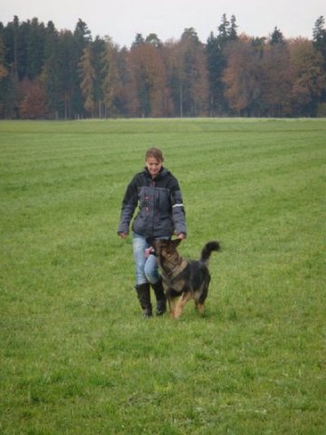 Pic26