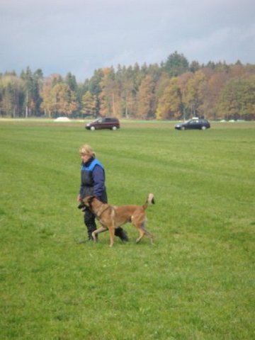 Pic33